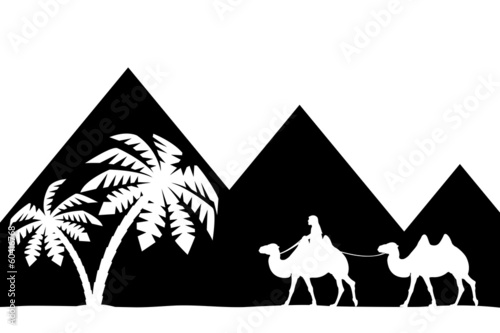 Man on the camel the pyramids.