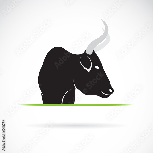 Vector image of an cow