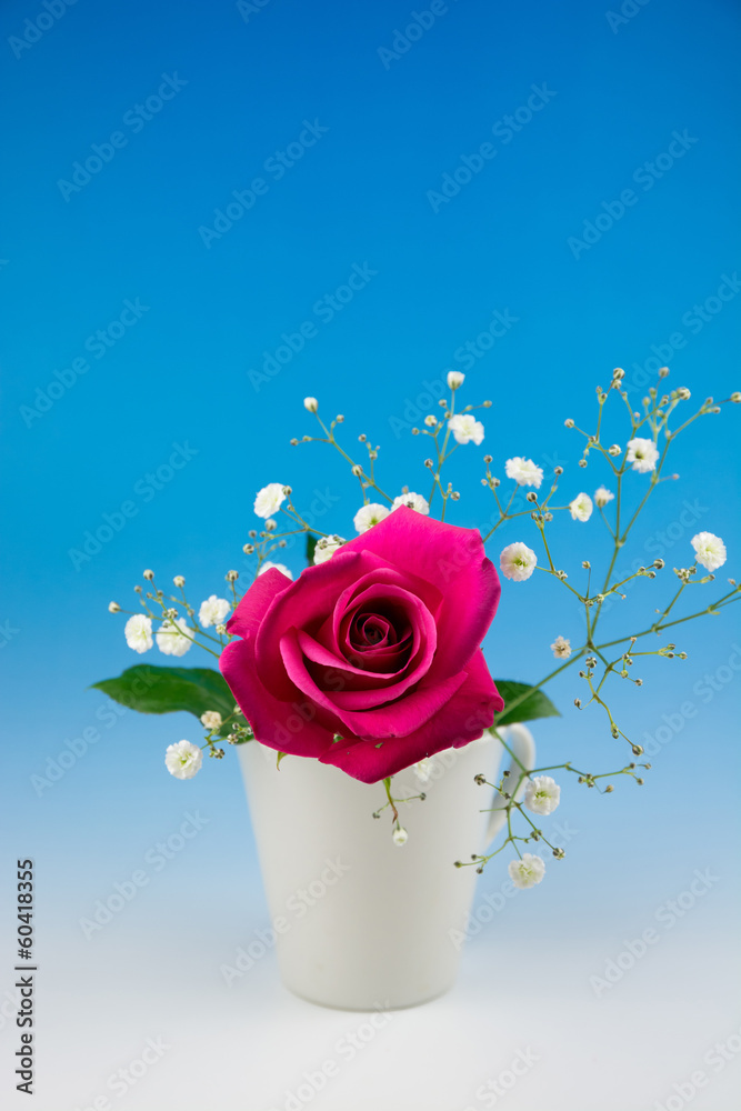 バラの花 バラの花