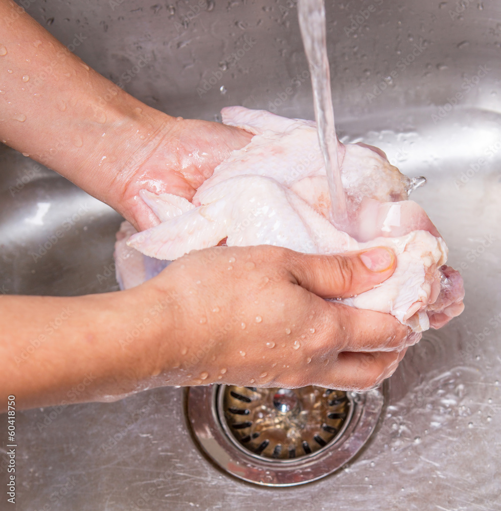 Fototapeta premium Female hands washing and cleaning chicken wings