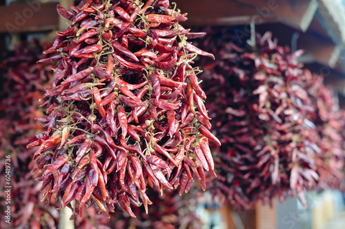 Hot spicy traditional chilli pepper paprika hanging in bunch