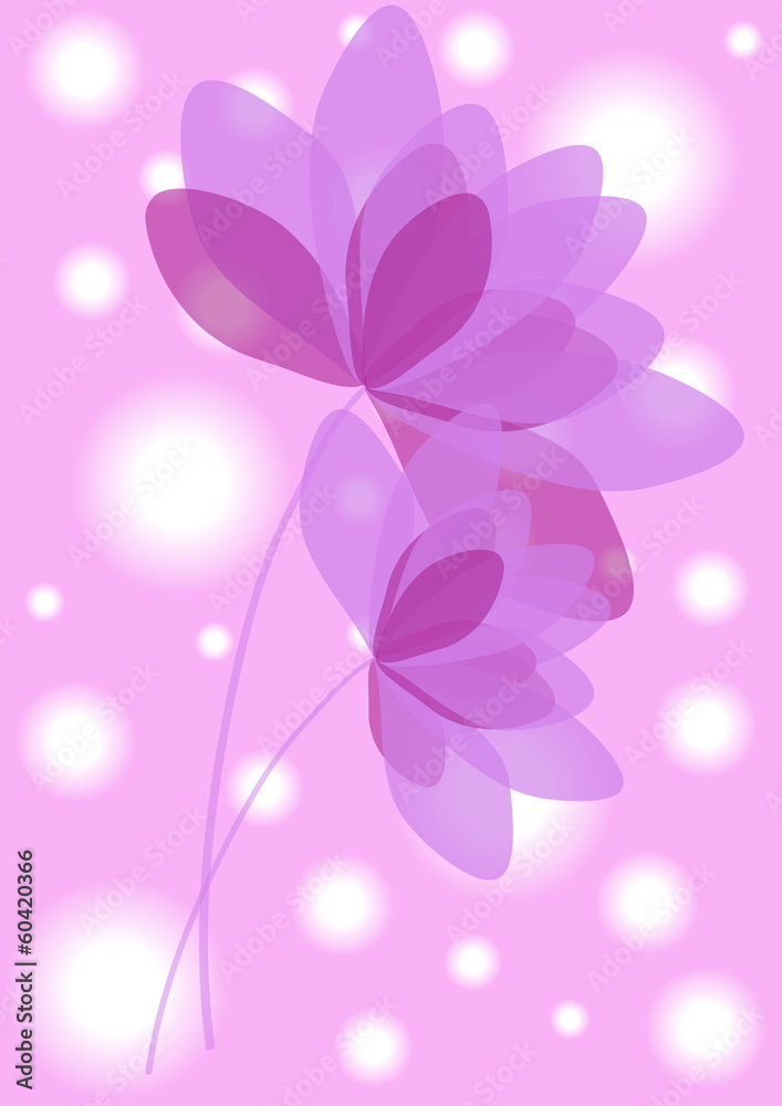 romantic violet flowers isolated on lighting pink background