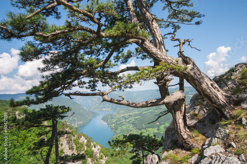 Tara mountain landscape