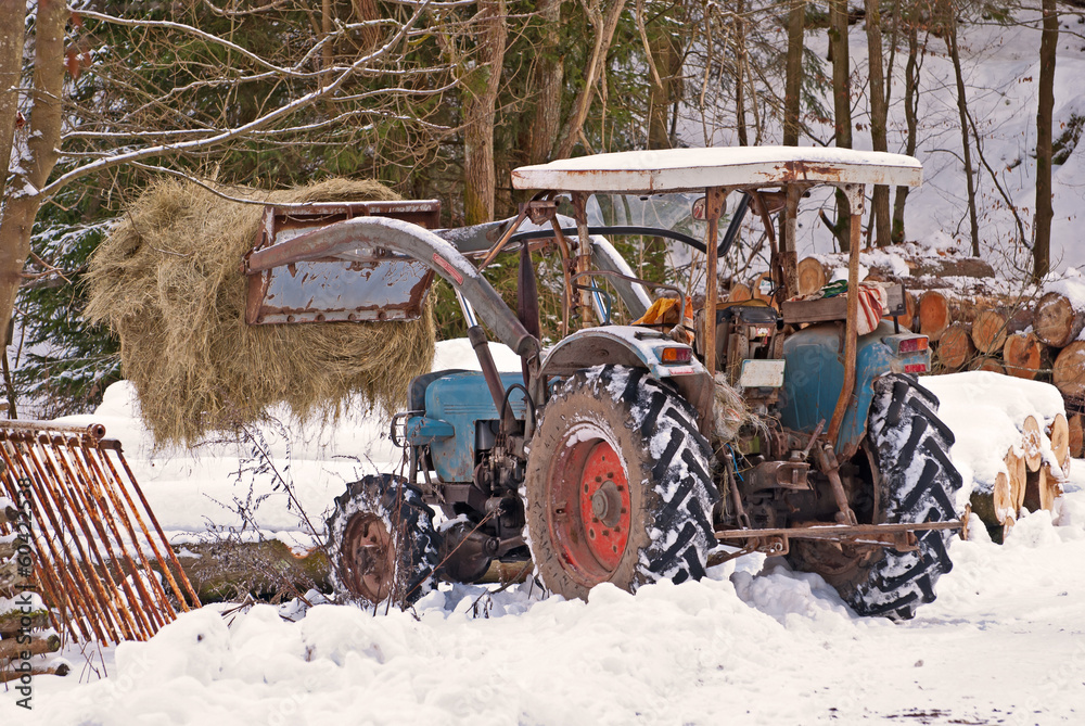 Obraz premium Landleben im Schnee