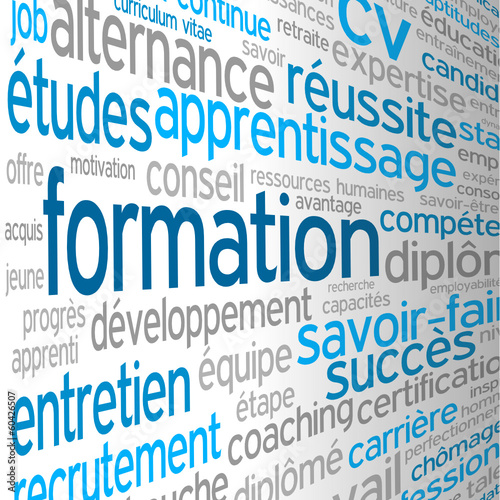 Nuage de Tags "FORMATION" (études cv continue professionnelle)