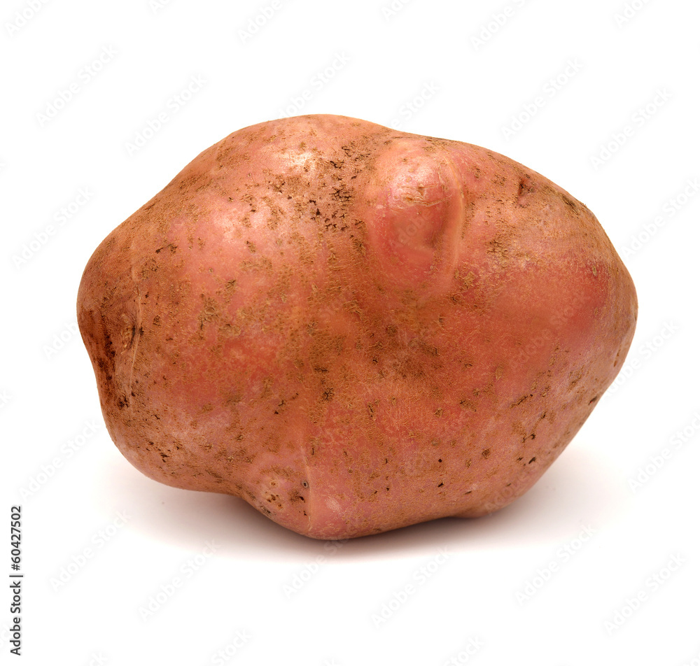 Potato