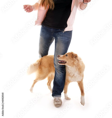 Fototapeta Naklejka Na Ścianę i Meble -  Hunde Training – Agility