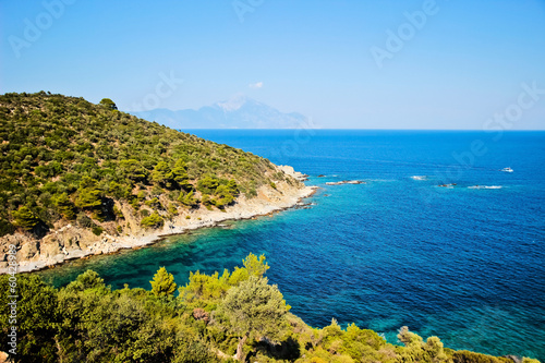 Seascape with mountain and forest