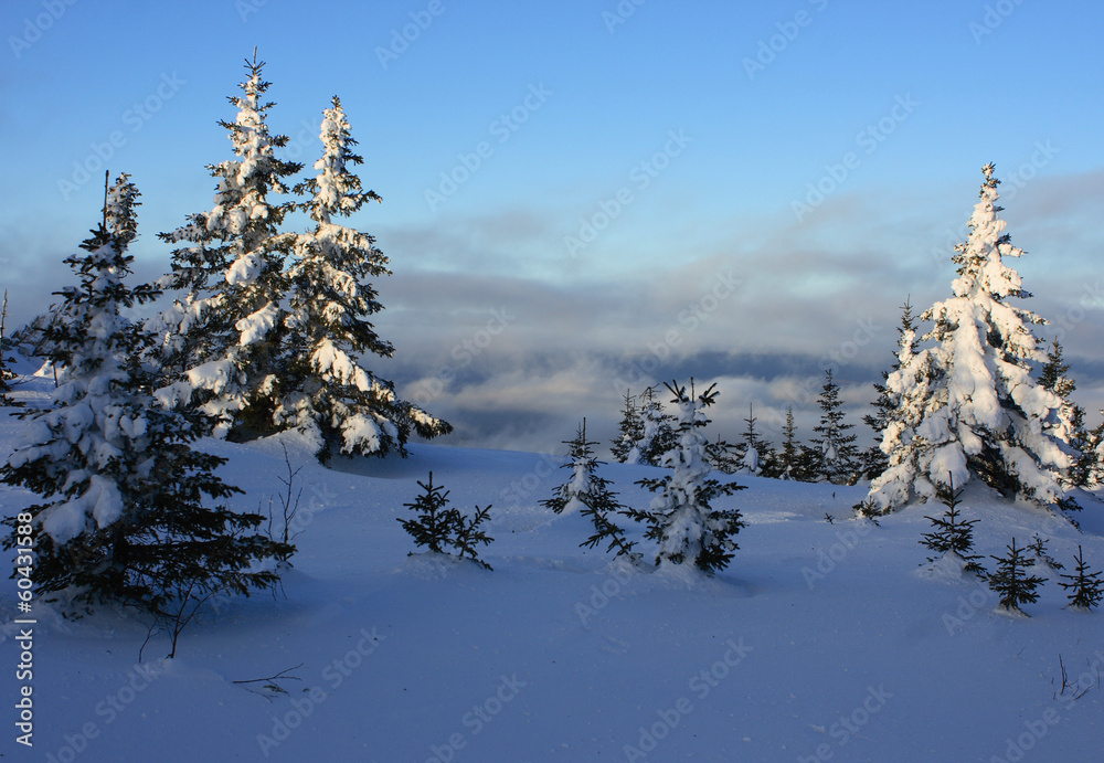 Winter mountains. South Ural, backbone of 