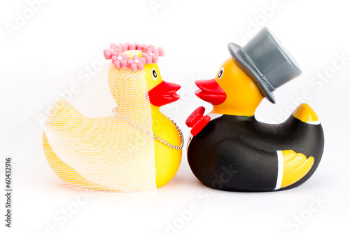 Kissing wedding ducks