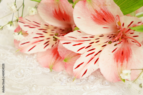 Pink flowers