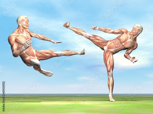 Canvas Print Male musculature fight - 3D render