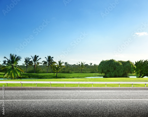 asphalt road and tropical forest