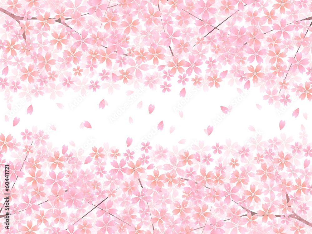 桜 さくら 背景 桜 さくら 背景