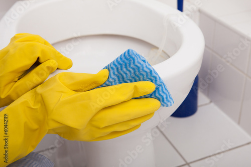 Person's Hand Cleaning Toilet photo