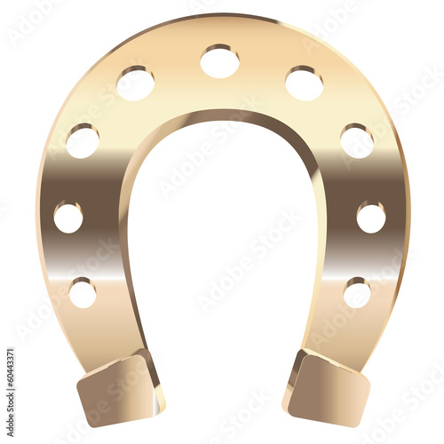 Gold horseshoe