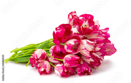 Fototapeta Naklejka Na Ścianę i Meble -  bouquet of tulips isolated