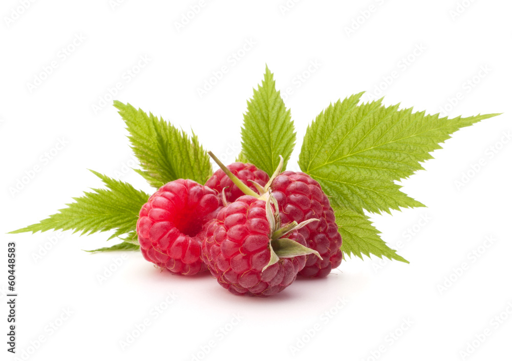 Sweet raspberry isolated on white background cutout Sweet raspberry isolated on white background cutout