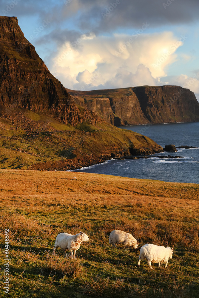 Obraz premium View of Neist Point, Highlands of Scotland, Europe