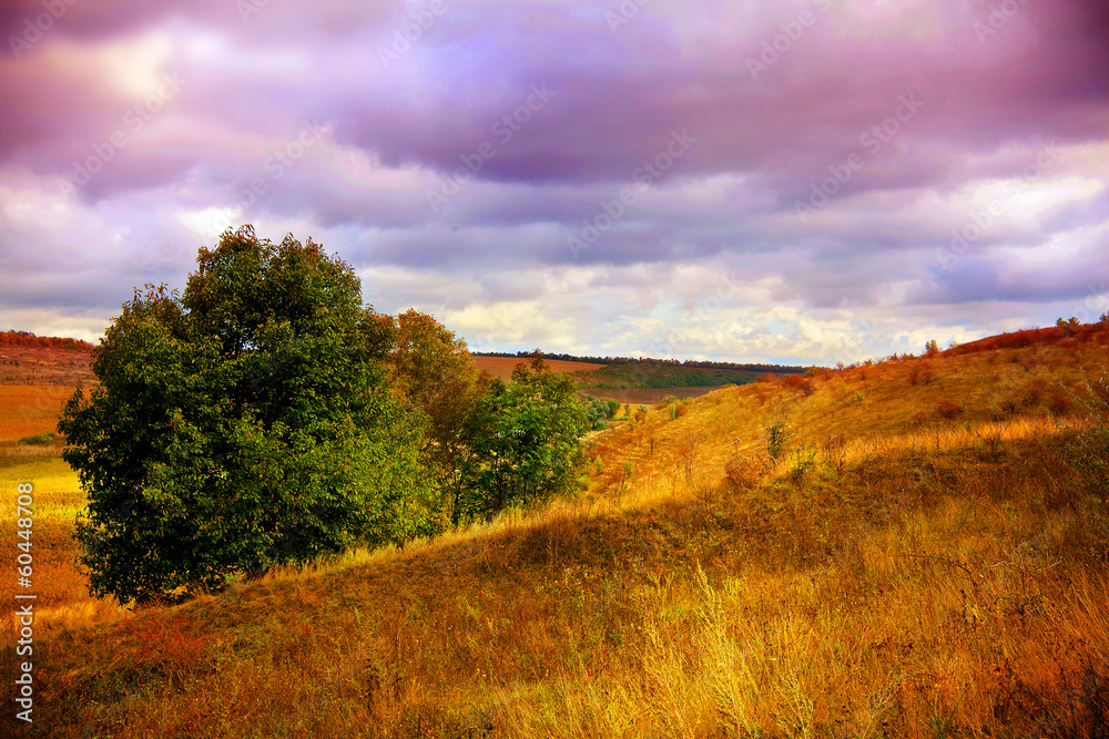 Obraz premium Autumn landscape