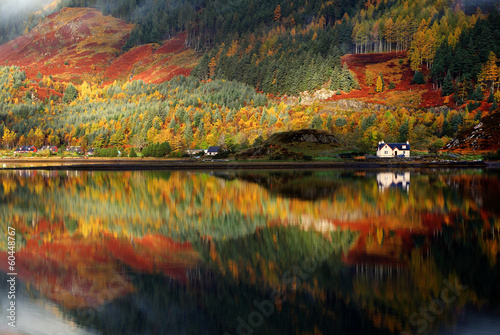 Autumn colors in Highlands, Scotland