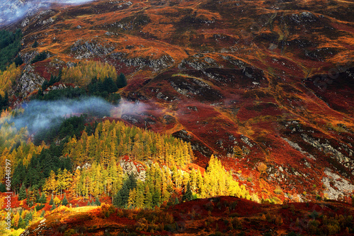 Autumn colours in Highlands, Scotland, Europe