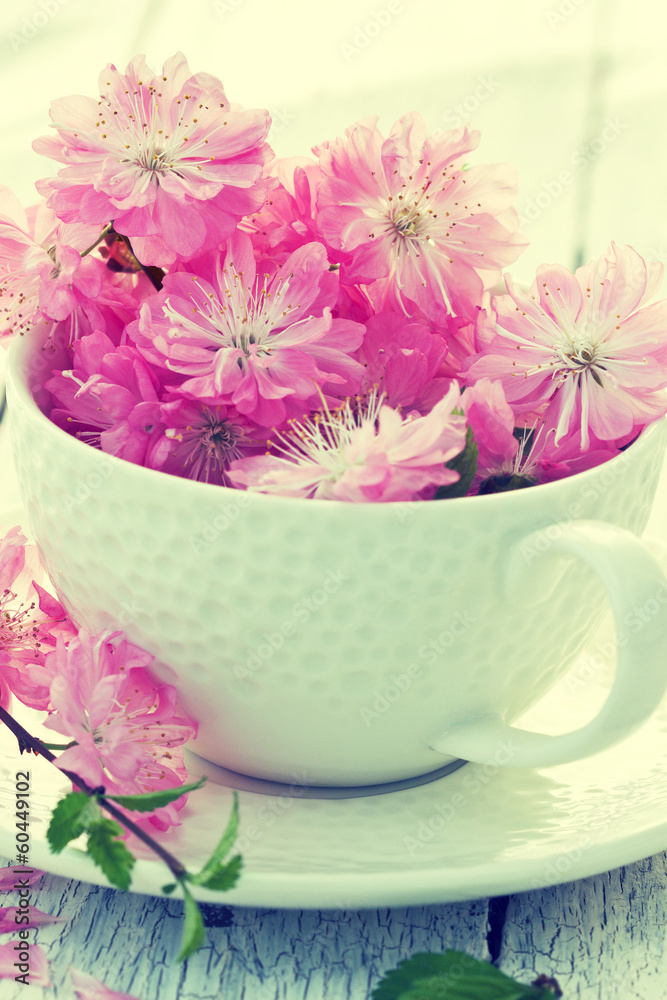 bouquet of sakura blossoms