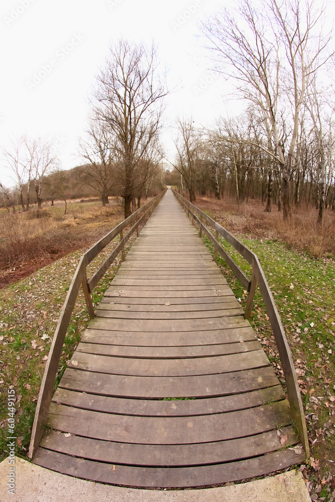 Wooden bridge Wooden bridge