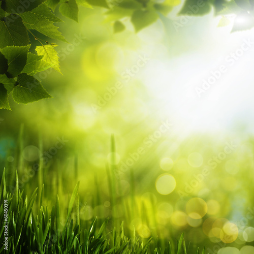 Summer foliage. Abstract seasonal backgrounds for your design