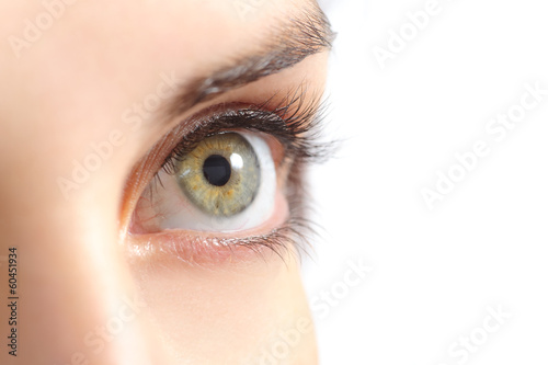 Fototapeta Naklejka Na Ścianę i Meble -  Close up of a beautiful woman green eye