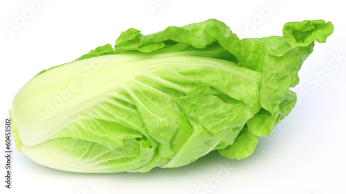 Fresh chinese cabbage