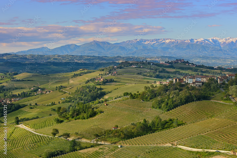 Green hills and vineyards of Piedmont, Italy.