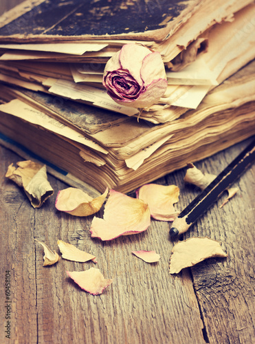 Dry rose and old books