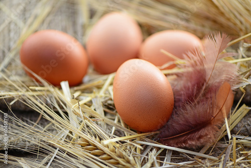 Frühstückseier photo