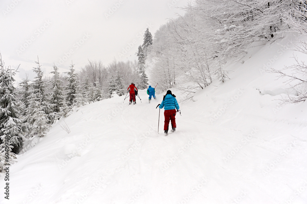 Ski walk in mountains Carpathians