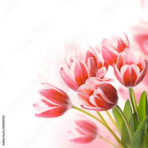 Fototapeta Naklejka Na Ścianę i Meble -  Red tulips with green grass. Floral background.