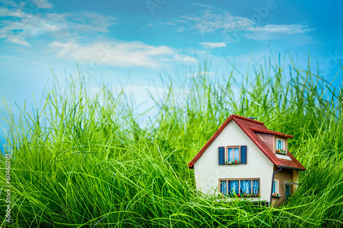 Wallpaper Mural House on the green grass Torontodigital.ca