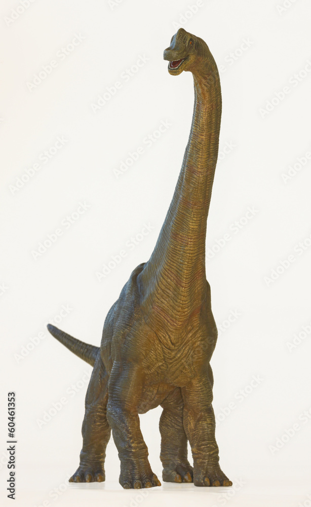 Fototapeta premium Dinozaur Tall Brachiosaurus lub Arm Lizard