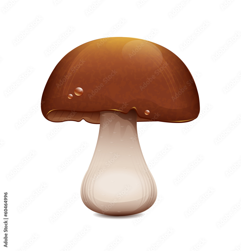 Mushroom Mushroom