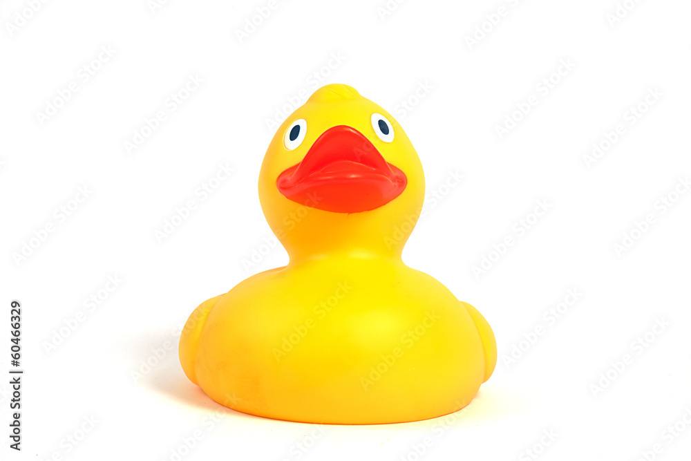 Badeente von vorne auf weiß isoliert Badeente von vorne auf weiß isoliert