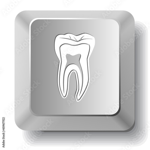 Tooth. Vector computer key.