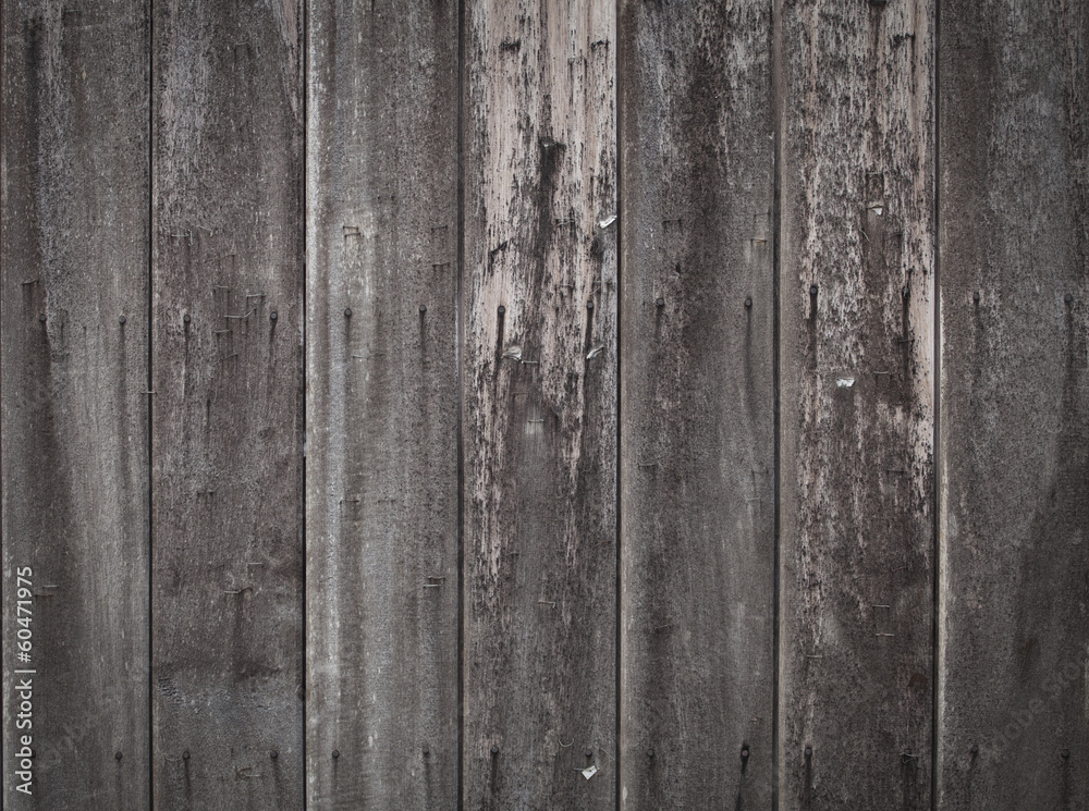 Obraz premium wooden wall
