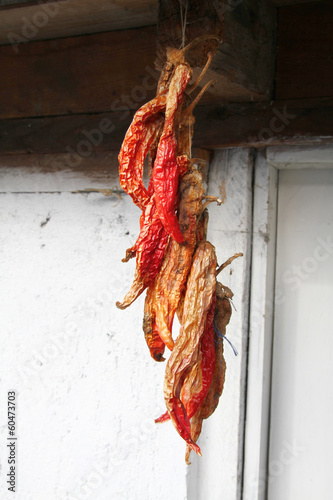 dried peppers photo