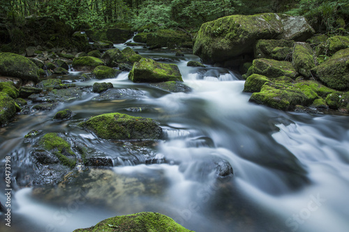Golitha Falls