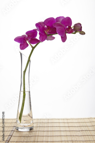 Fototapeta Naklejka Na Ścianę i Meble -  Lilafarbene Orchidee in Glasvase