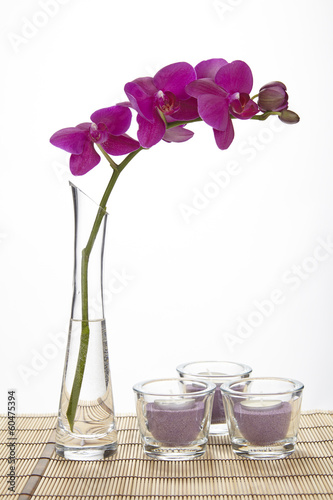 Fototapeta Naklejka Na Ścianę i Meble -  Lilafarbene Orchidee in Glasvase