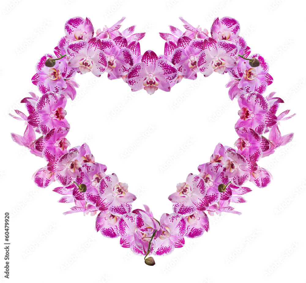 heart from isolated pink orchid flowers