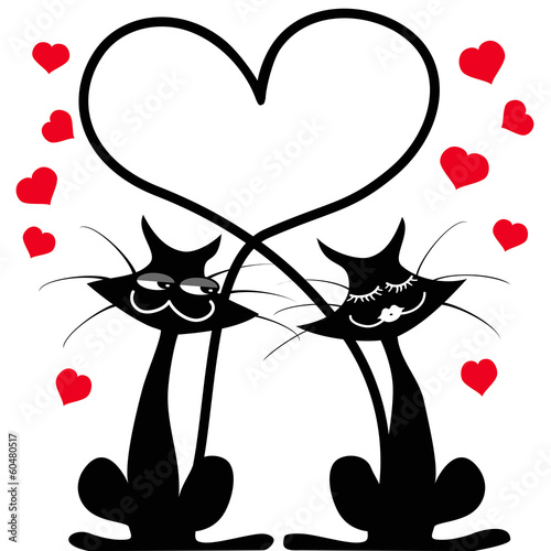 cats in love