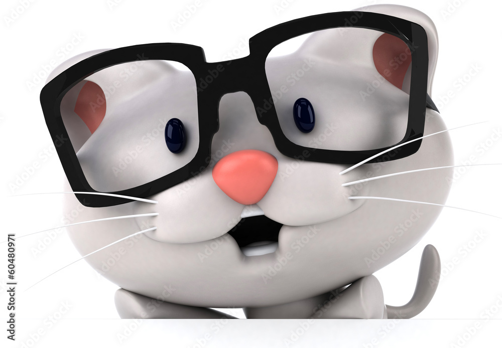 Cat Cat