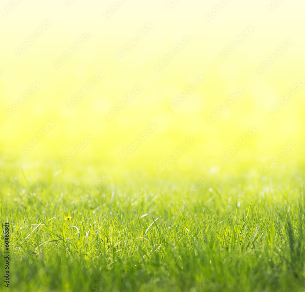 Spring green, yellow, sunny background